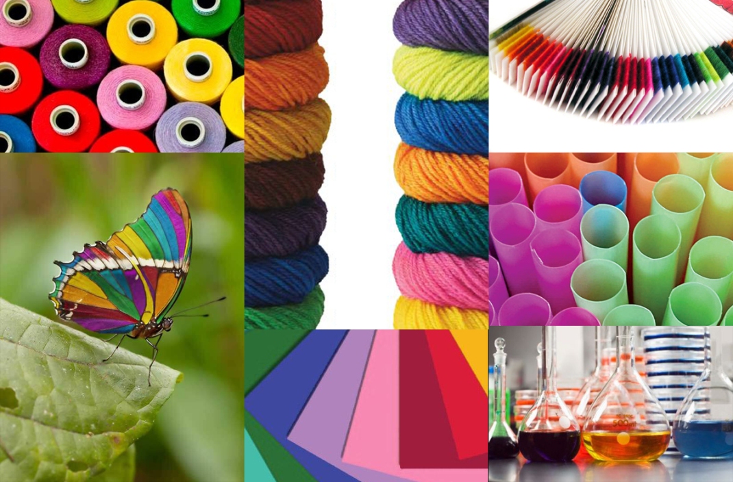 Food Coloring Powder Suppliers
